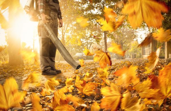 Cost of Leaf Blowing Service in Poway