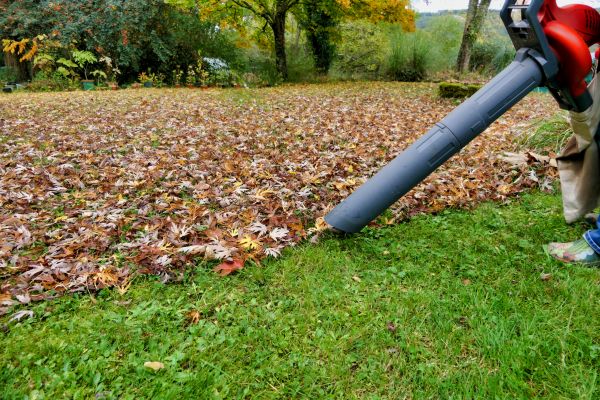 Cost of Leaf Vacuuming Service in Poway