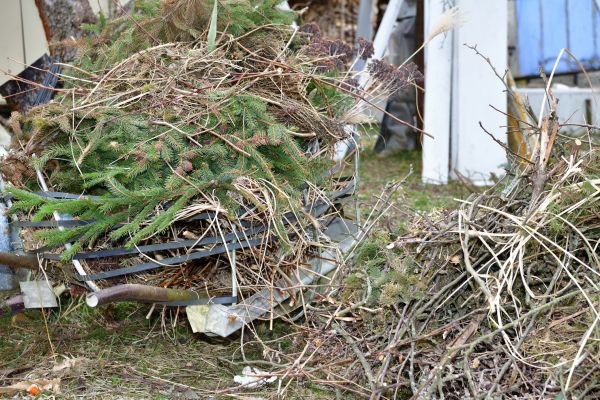 Cost of Yard Debris Removal in Poway