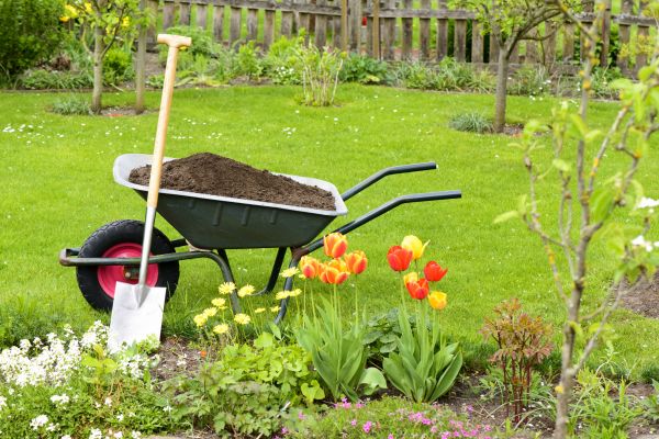 Cost of Spring Yard Cleanup in Poway