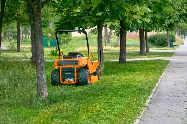 Cost of Landscaping Cleanup Service in Poway