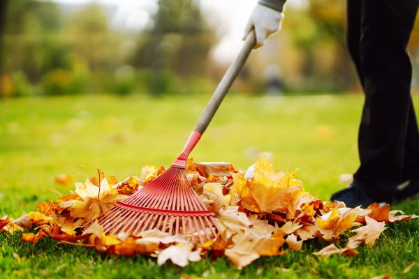 Cost of Ditch Leaf Removal in Poway