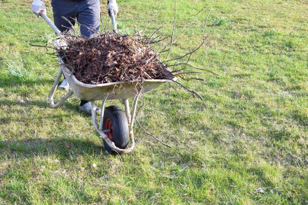 Cost of Yard Brush Removal in Poway