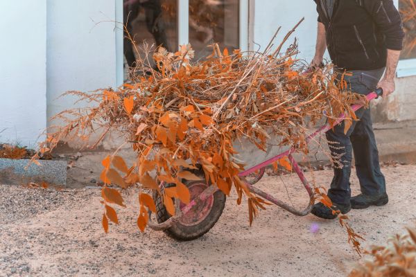 Cost of Lawn Debris Cleanup in Poway