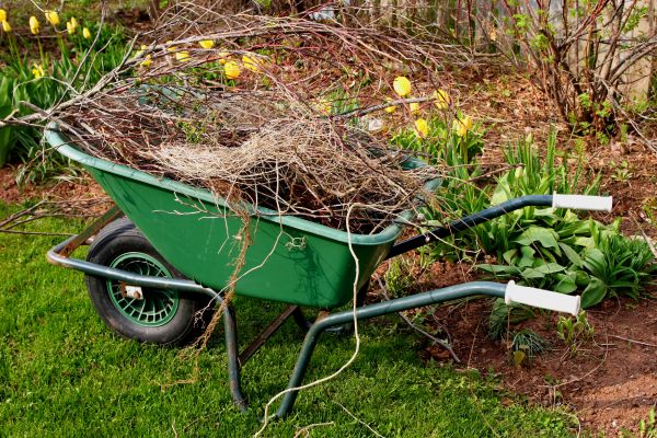 Cost of Lawn Waste Removal in Poway
