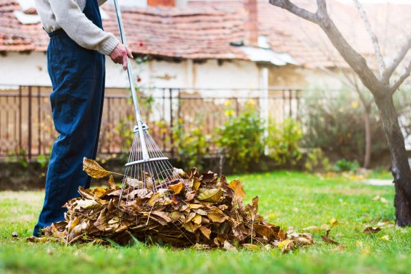 Cost of Fall Yard Cleanup Service in Poway
