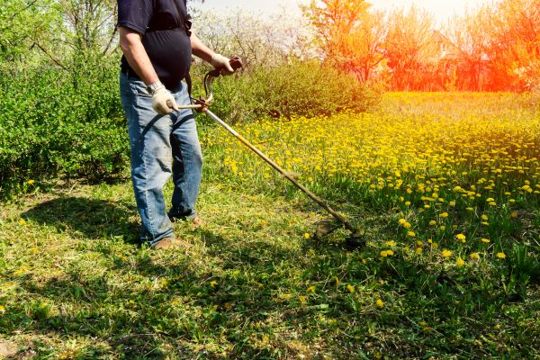 Cost of Yard Clearing Service in Poway