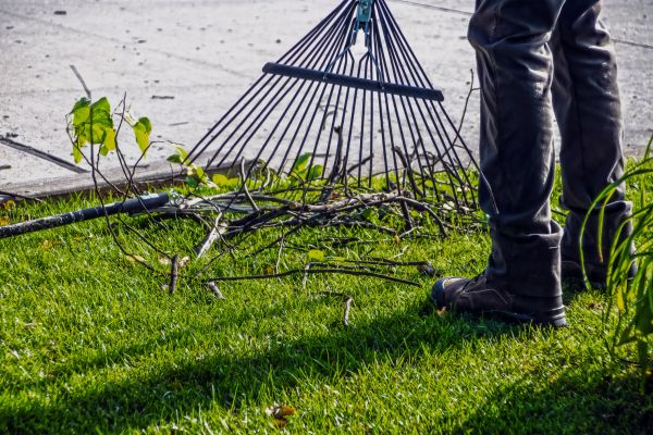 Cost of Yard Debris Cleanup in Poway