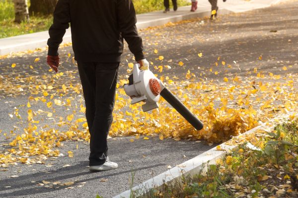 Cost of Commercial Leaf Removal in Poway