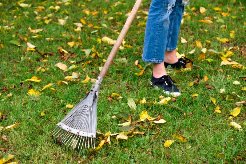 Fall Lawn Maintenance Tools